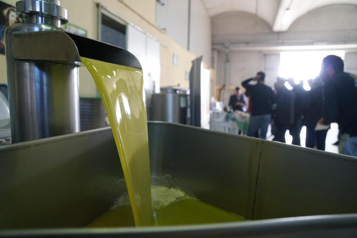“Centro Sicilia Bio”: continua il viaggio tra i sapori biologici della filiera corta nissena - 