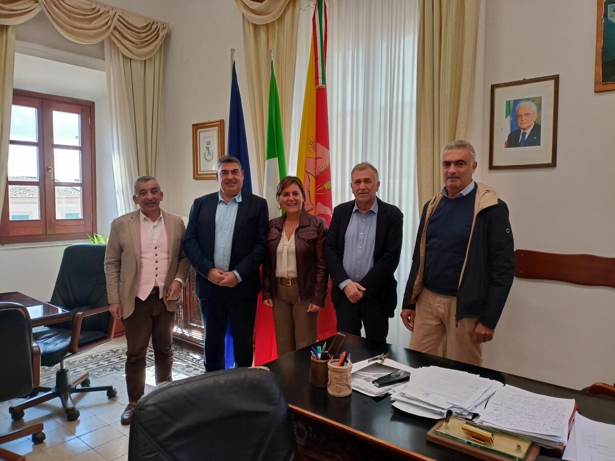 A Mazzarino avviato iter con Asp per la lotta al randagismo -