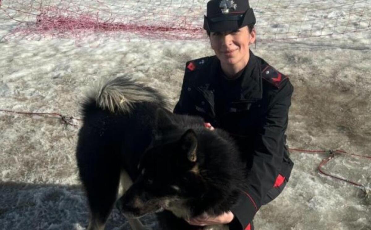 È di origine gelese la carabiniera che ha salvato una diciottenne - 