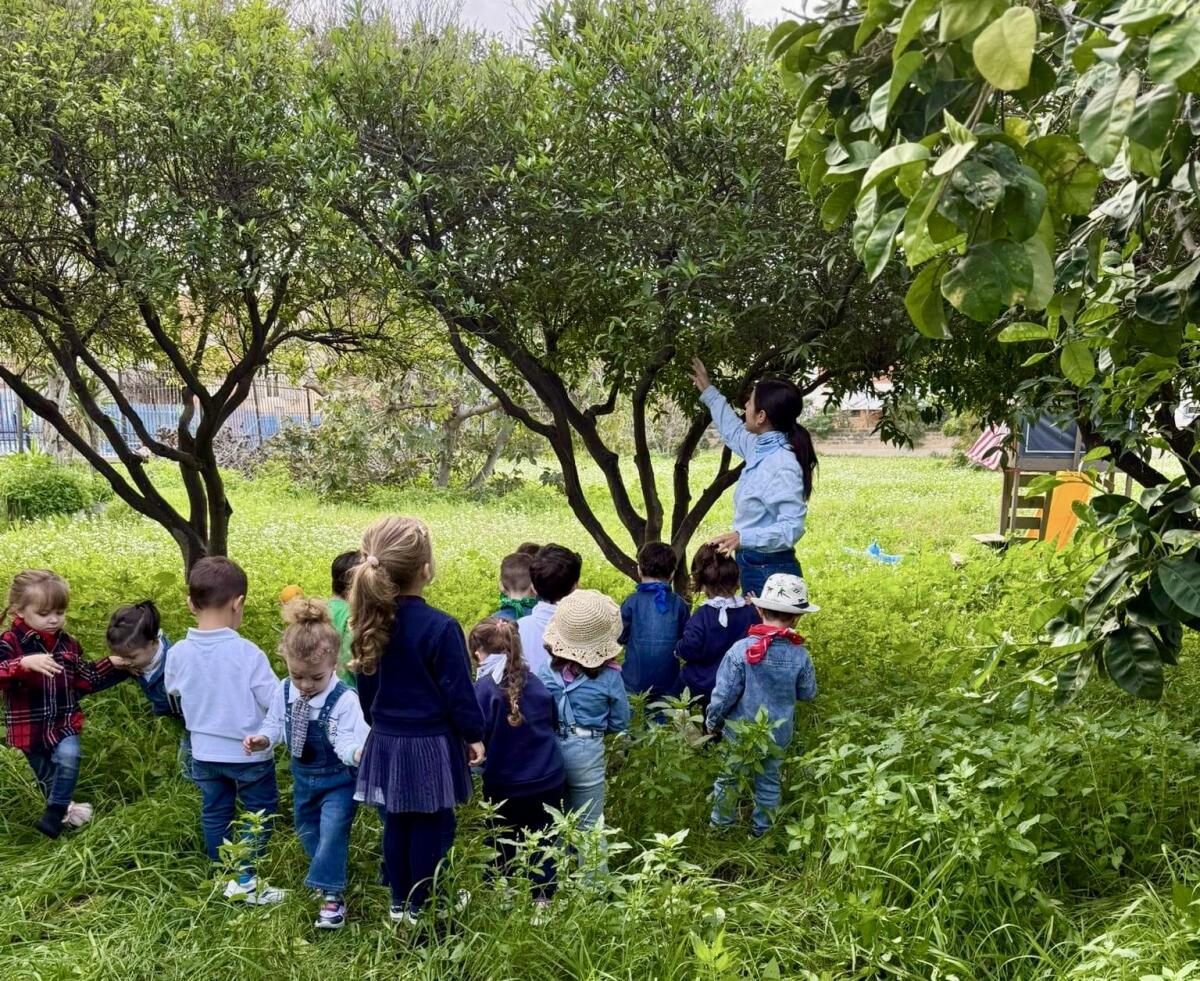 Giornata nazionale degli alberi, “l’abbraccio” dei piccoli del “Don Minozzi” - 