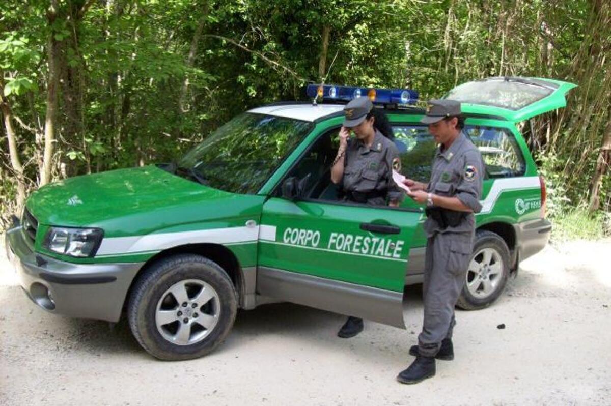 Tar sul concorso per forestali: accolto il ricorso del figlio dell&#8217;ex dirigente - 
