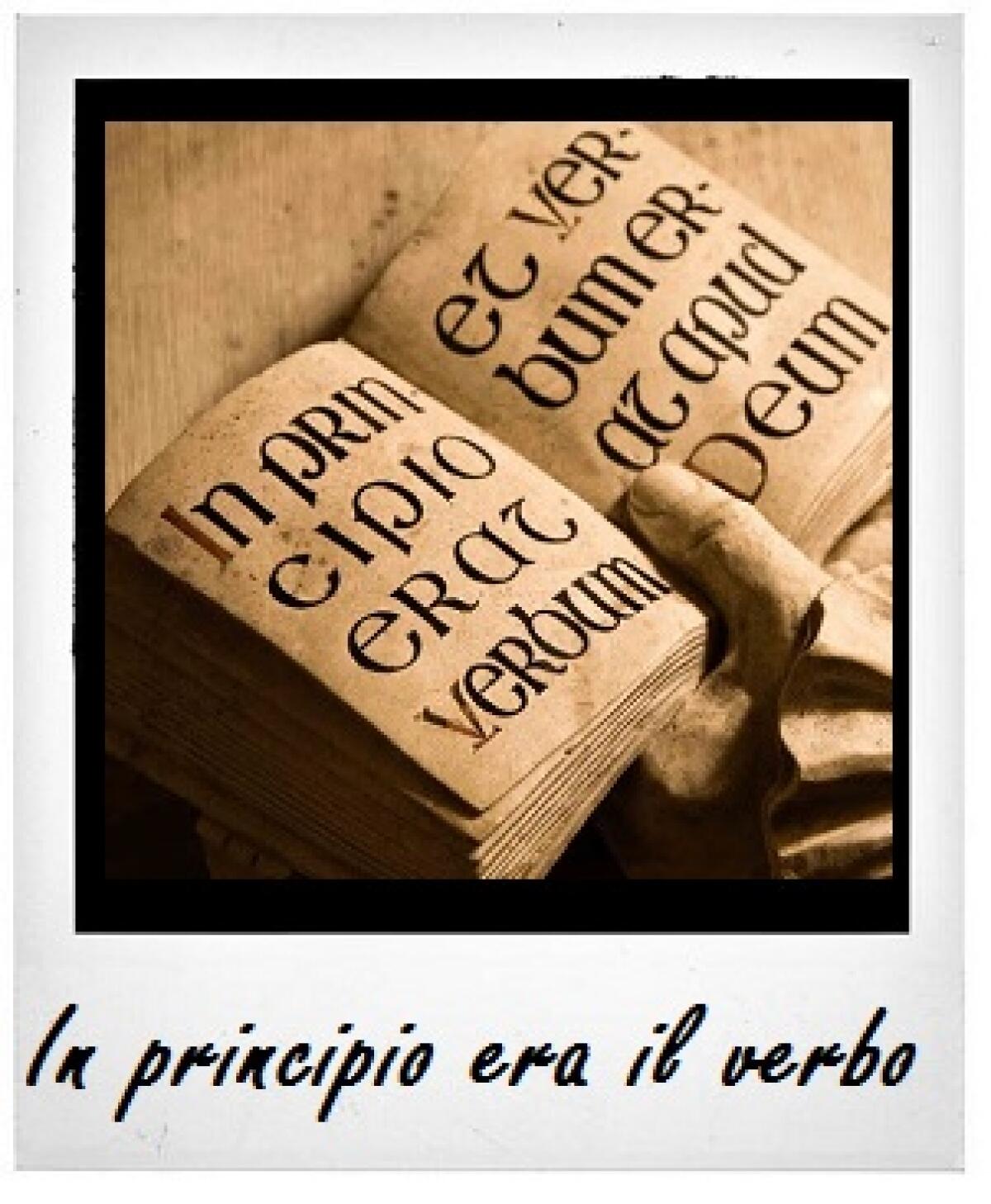 Cerchi luce? Ama la vita, abbine cura, falla fiorire - 