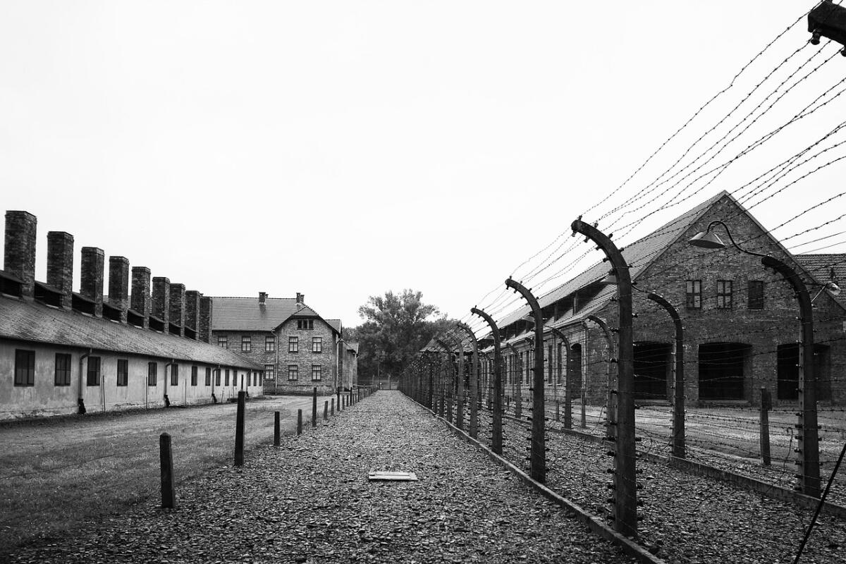 Giornata della Memoria, sui social il ricordo promosso da GelaBrainstorming -