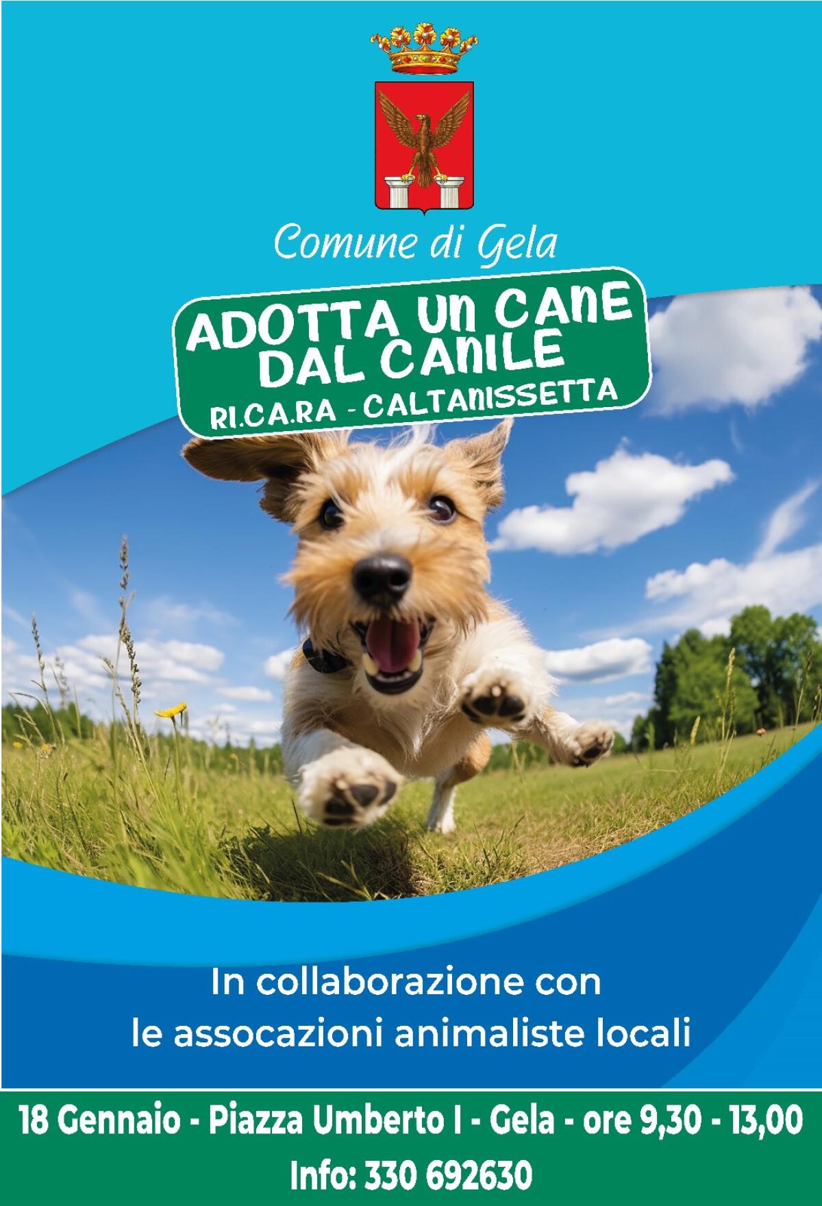 &#8220;Adotta un cane dal canile&#8221; - 