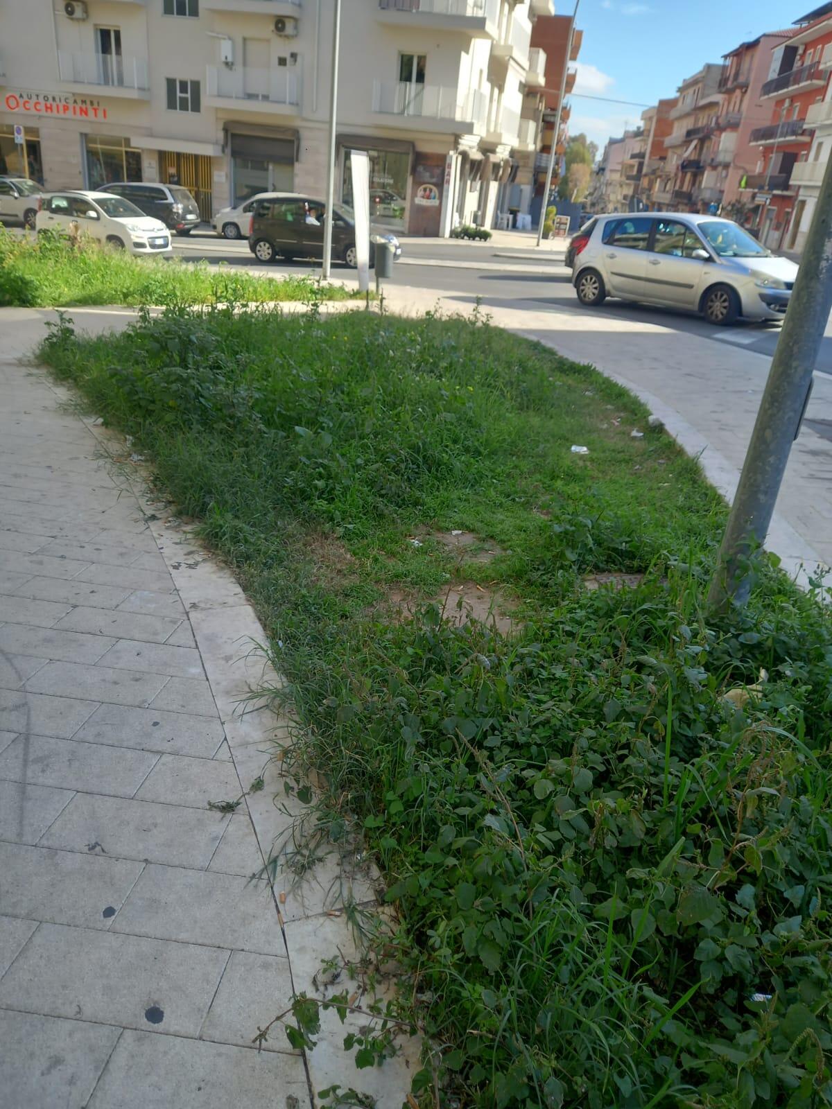 Il &#8216;vasino&#8217; dei cani di via Niscemi - 