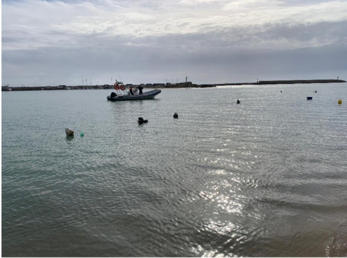 Lotta all&#8217;abusivismo demaniale: plauso del Sindaco alla Capitaneria di Porto - 