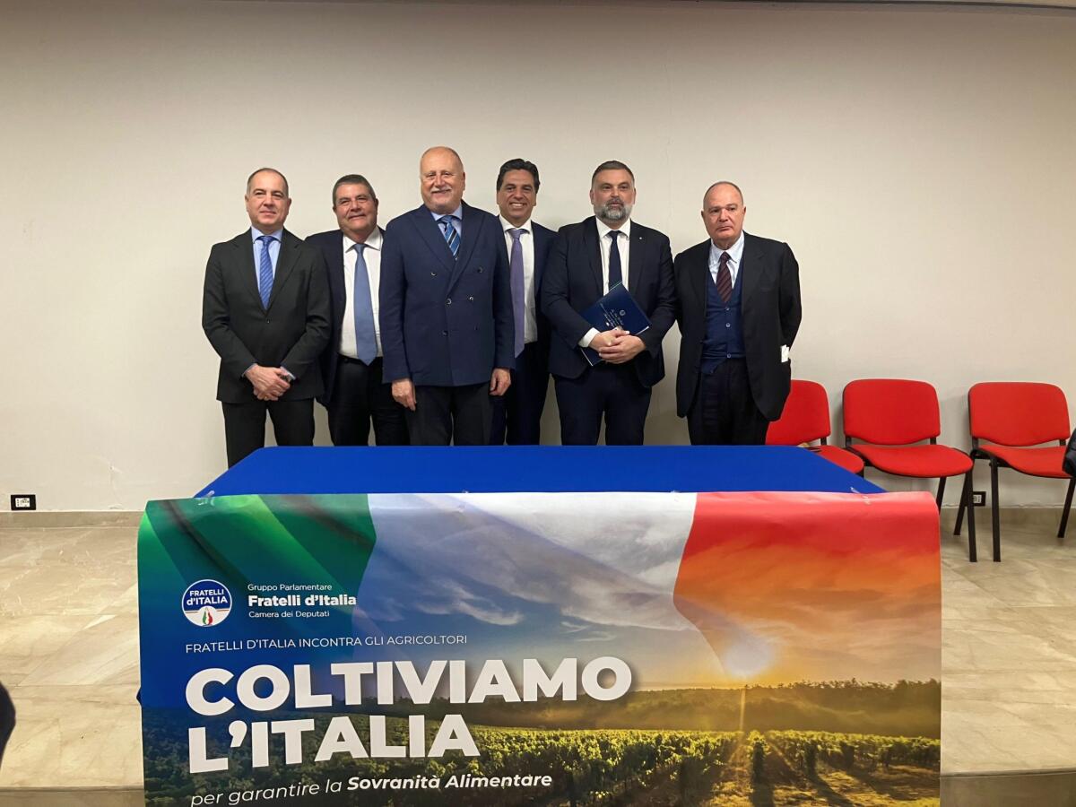 Peronospora, in arrivo i primi 11 milioni dell&#8217;Agea - 