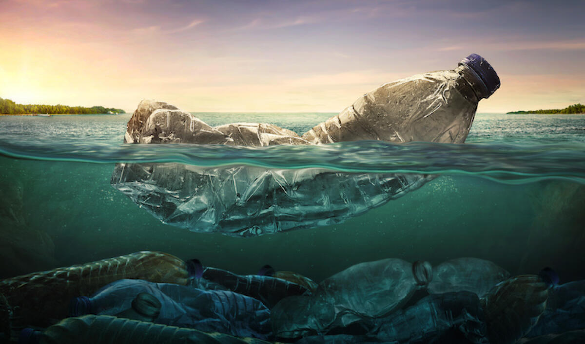 Ecco i 14 comuni siciliani Plastic free 2025 - Plastic water bottles pollution in ocean (Environment concept)
