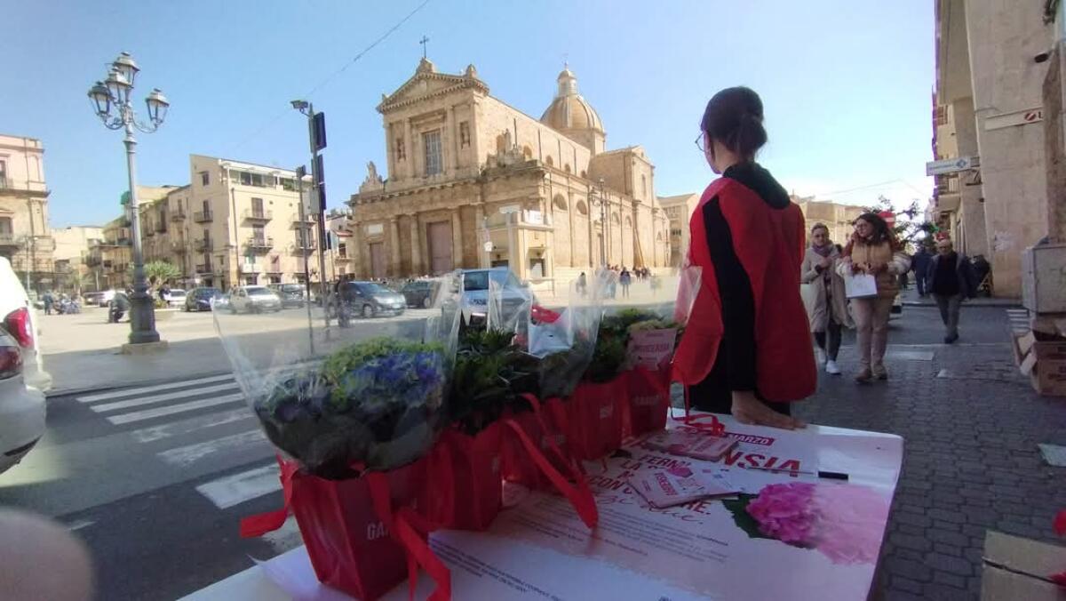 &#8220;Il 7, 8 e 9 marzo fermiamo la sclerosi multipla con un fiore&#8221; - 