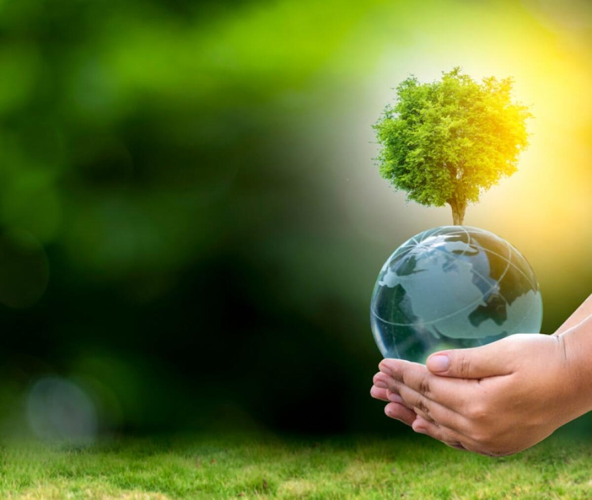 Giornata della terra: c&#8217;è ancora tanto da fare - 