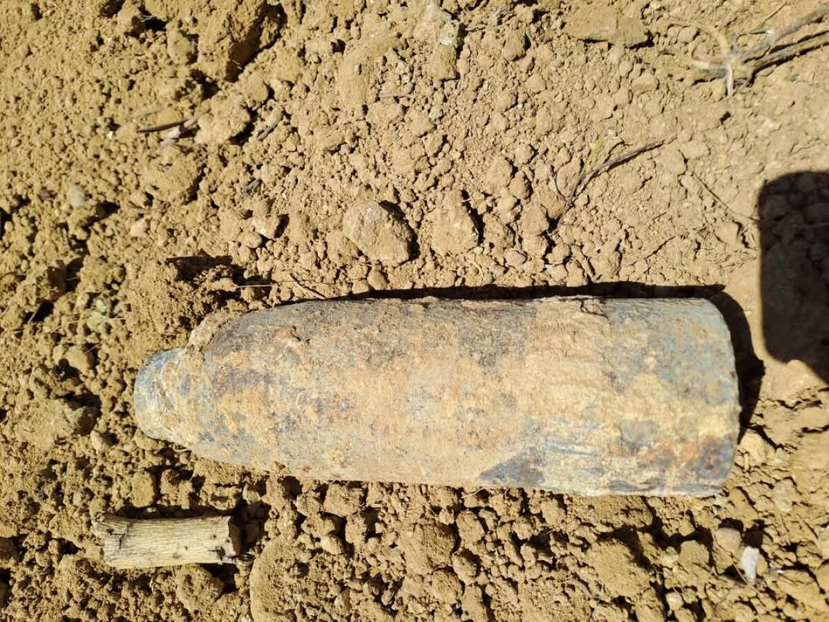 Imprenditore agricolo si considera miracolato - 