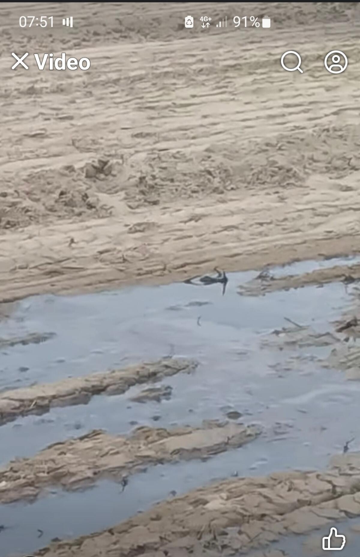Reflui che si sversano da 4 giorni in spiaggia - 
