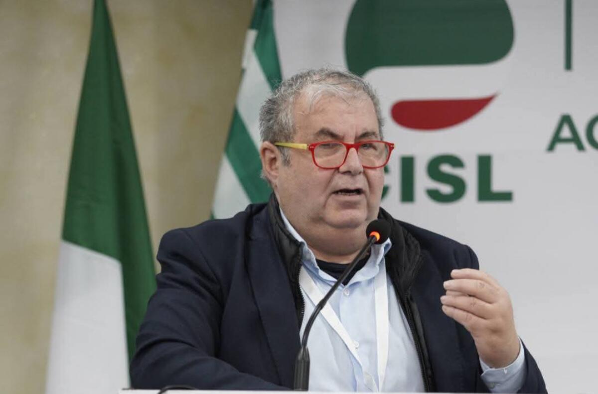 Rsu scuola: concluse le elezioni delle Rappresentanze sindacali - 