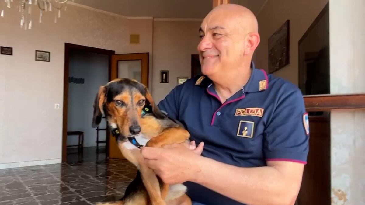 “Dalla parte degli animali”, il cane “Bruno” e il suo salvatore su Mediaset -