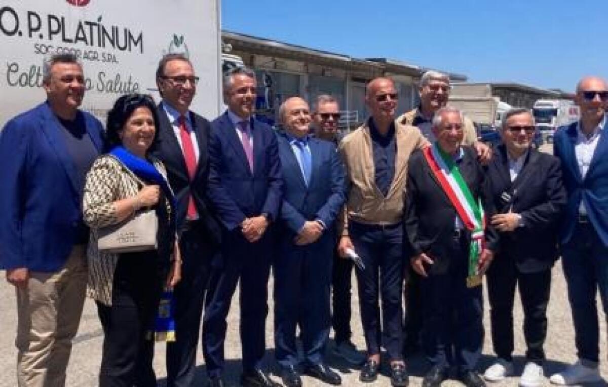 Il mercato ortofrutticolo di Vittoria si rinnova - 