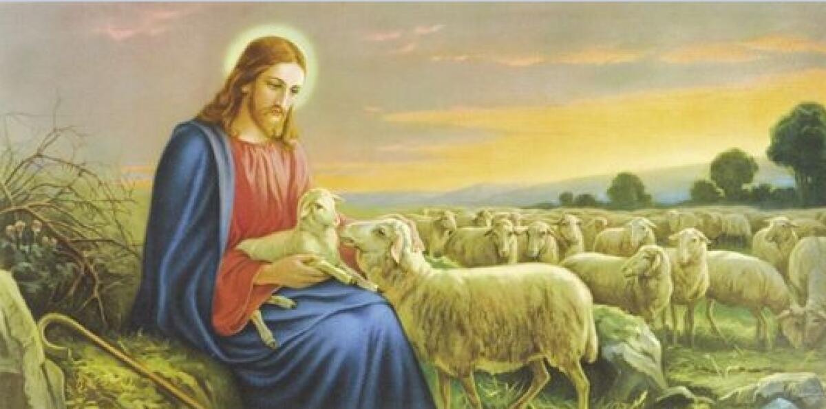 “Io sono il buon pastore..” -