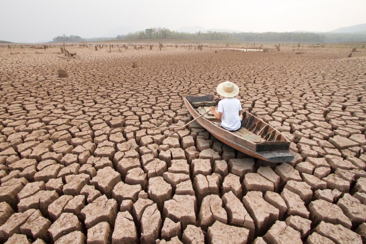 Siccità 2024: il Comune richiede sostegno straordinario per il settore agricolo, colpito gravemente dalle calamità naturali - 