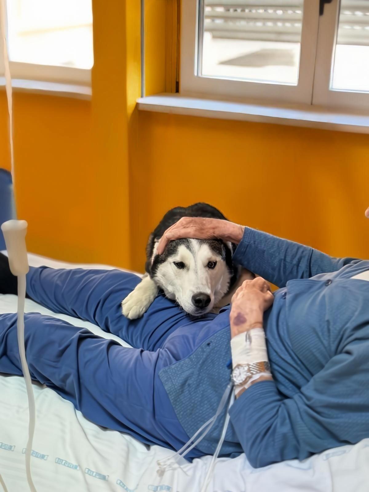 &#8220;Un Husky per amico&#8221;: Pet therapy all’Ospedale Vittorio Emanuele di Gela con l&#8217;Adoces - 