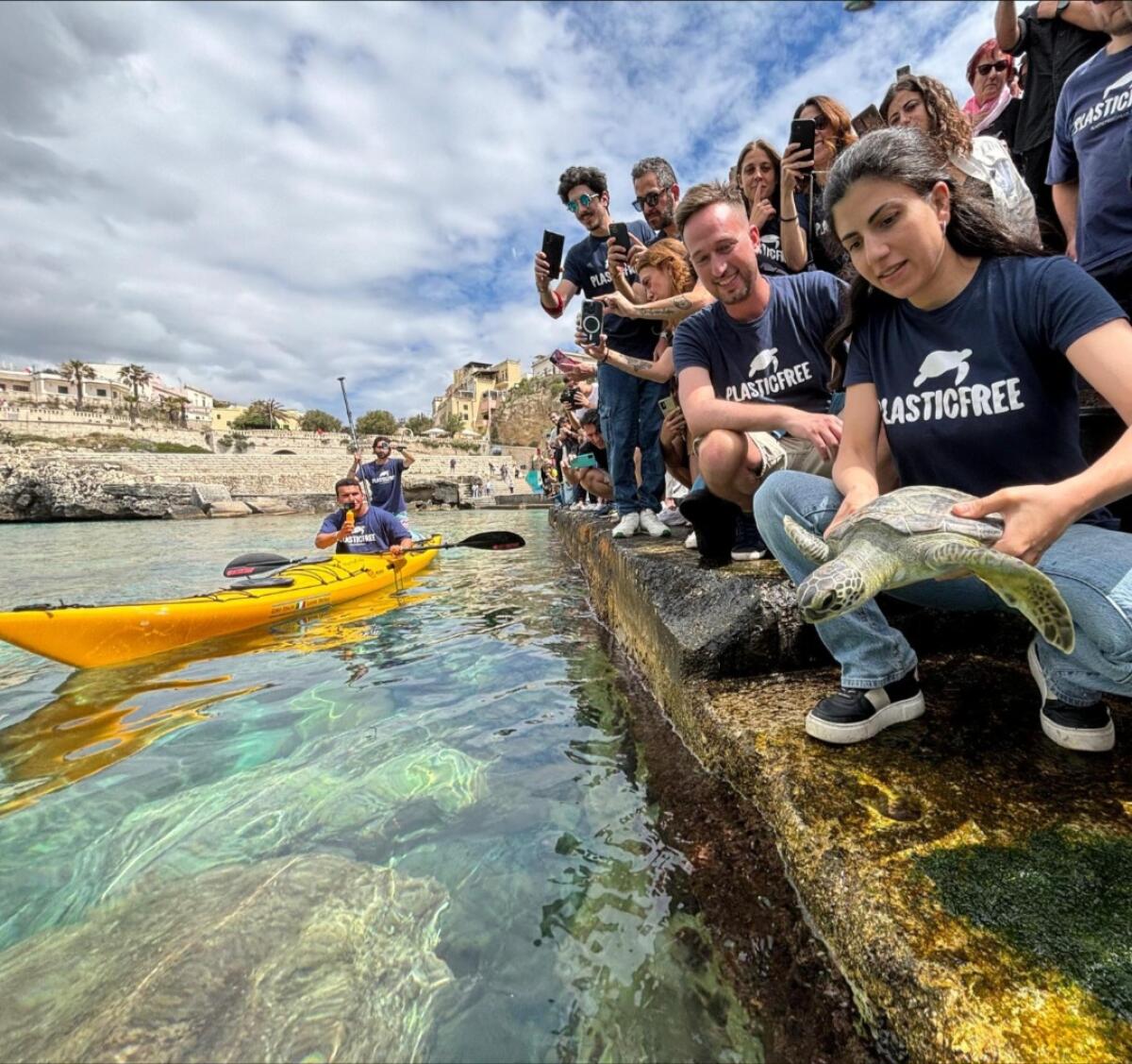 Giornata mondiale delle tartarughe: Plastic Free libera quattro esemplari in mare -