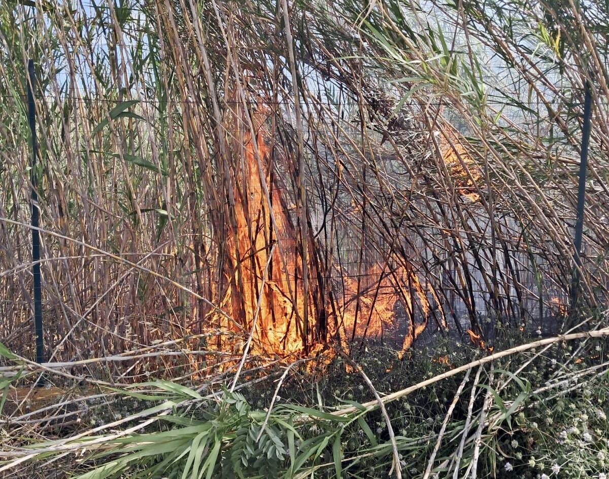 Diversi incendi negli ultimi giorni in contrada Piana del Signore - 