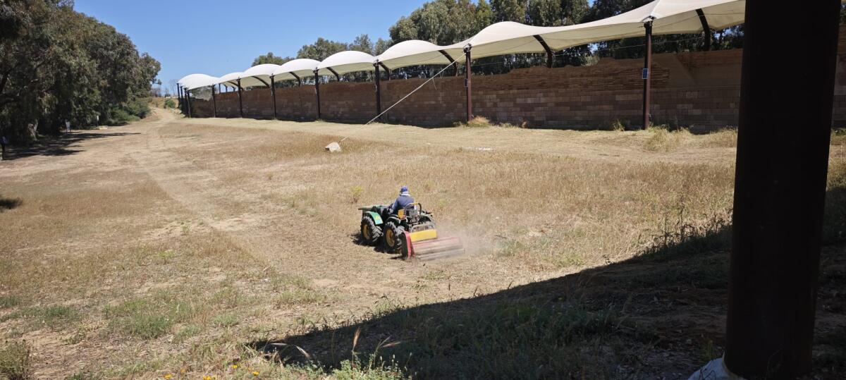 Prosegue la pulizia delle aree verdi nelle aree archeologiche - 