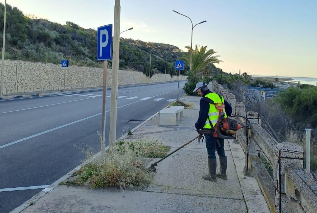 Operazioni di scerbamento con acido pelargonico -