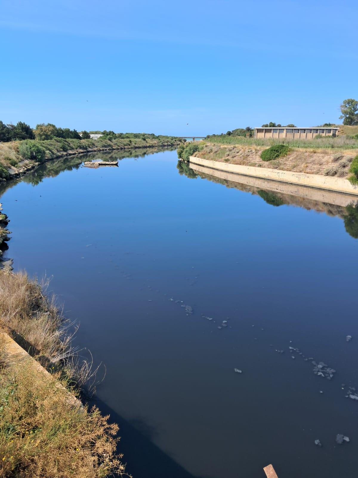 Lorefice: &#8220;il fiume Gela è in piena crisi ecologica&#8221; - 
