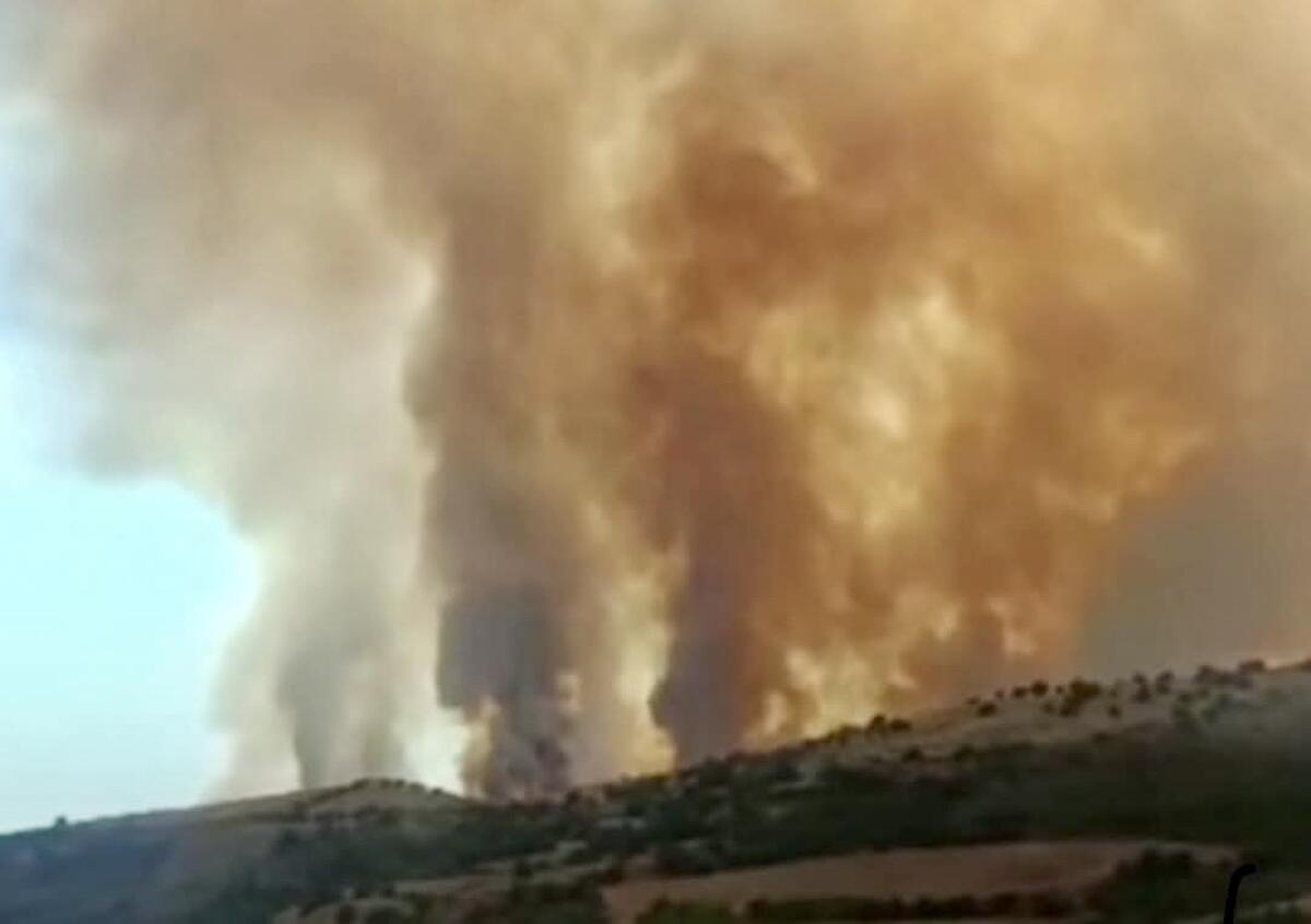 Italia nostra su incendi:”serve una maggiore consapevolezza ambientale” - 