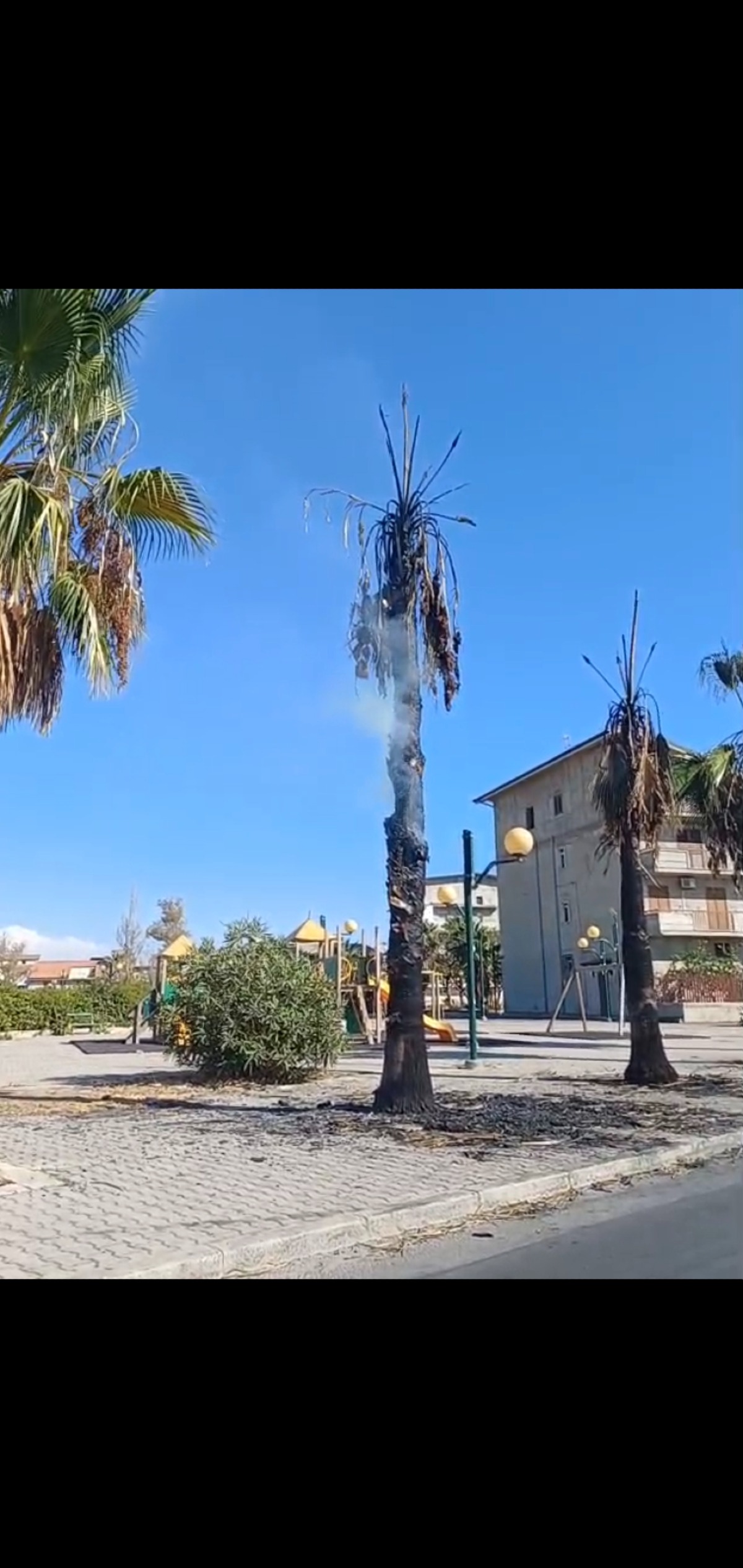 Atto vandalico a Cantina sociale -