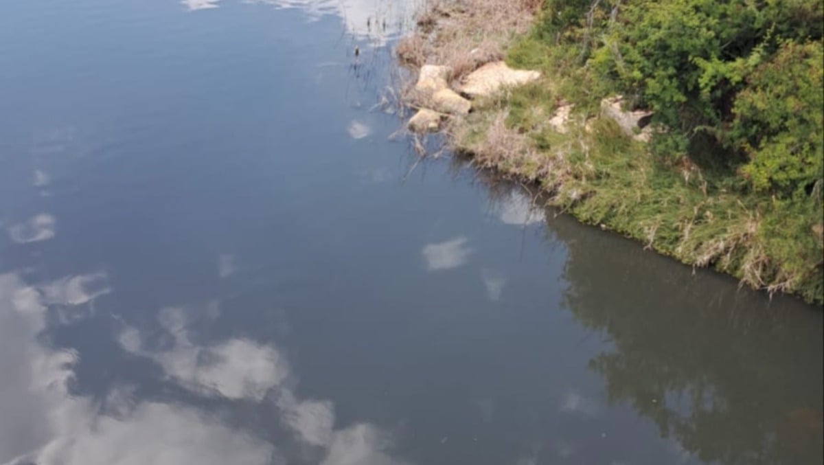 Fiume Gela:acque scure e maleodoranti  - 