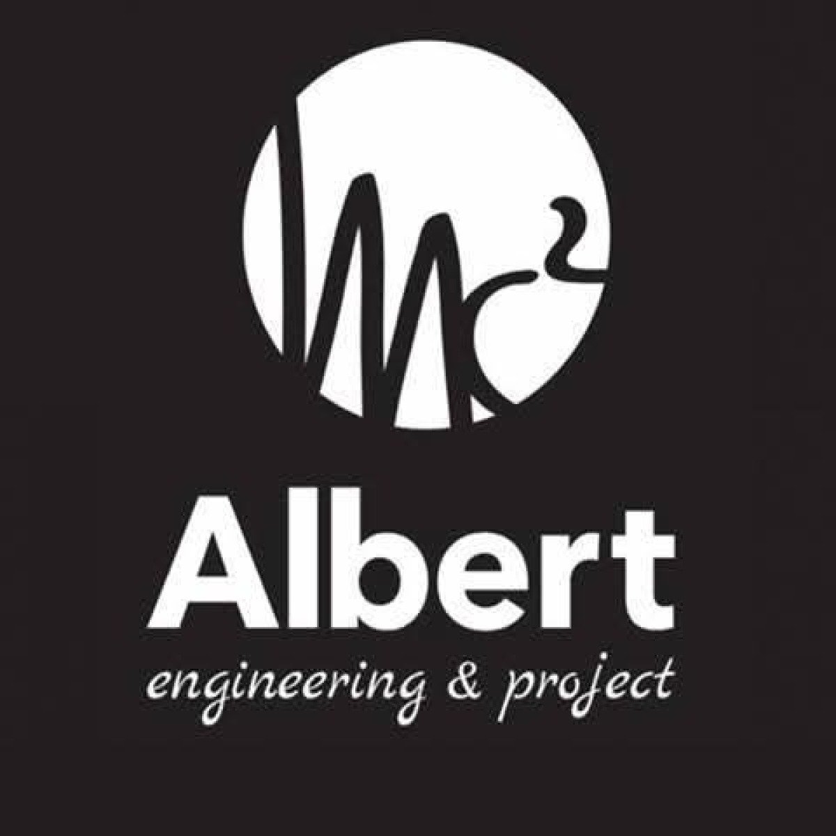 Albert Engineering & project assume personale  - 