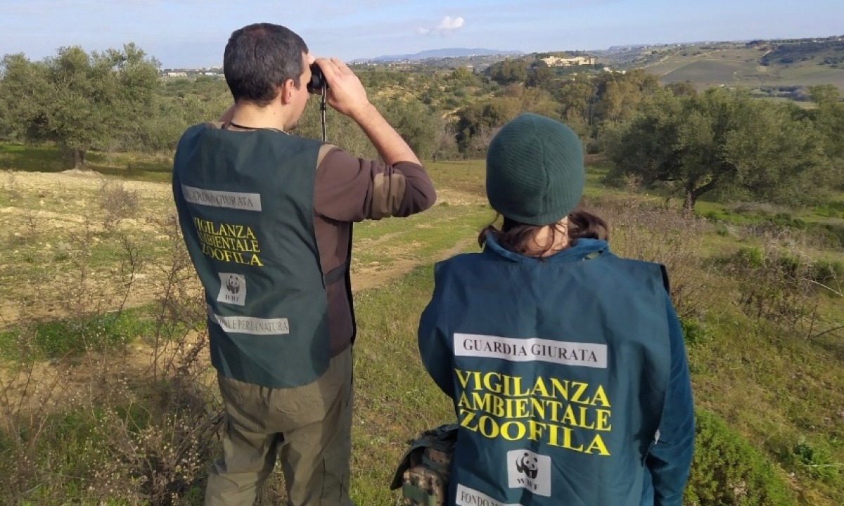 Il Far west del bracconaggio nella Piana di Gela  - 