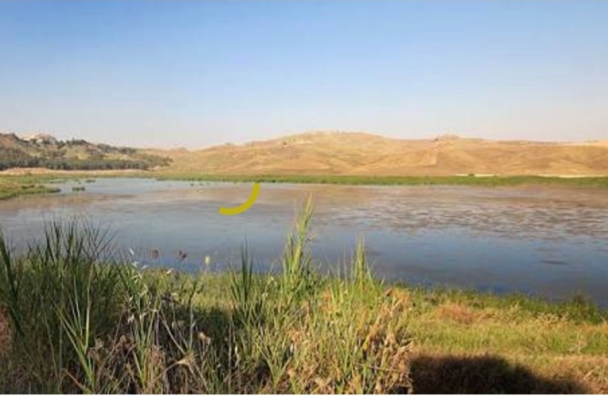 L'acqua della diga Comunelli sversata a mare -