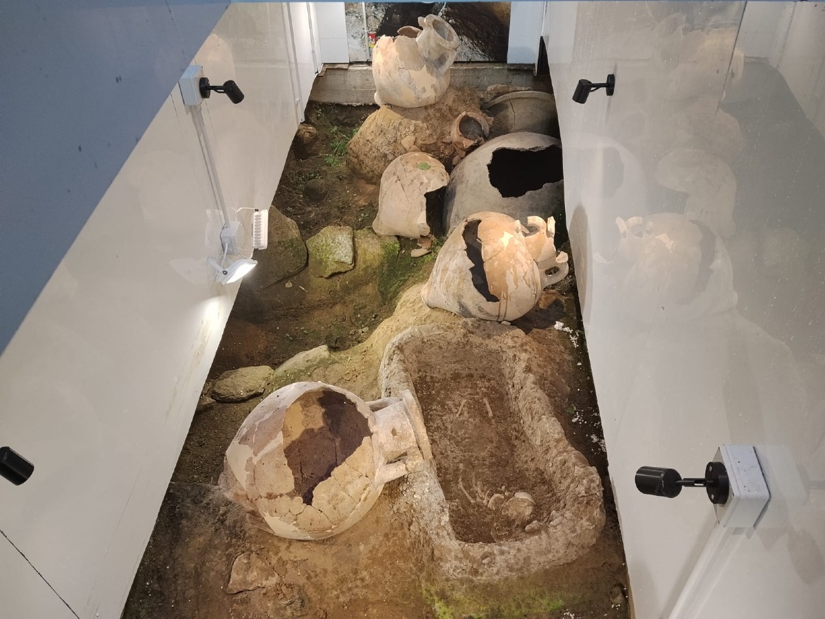 Intervento  di pulizia alla necropoli di via Di Bartolo  - 