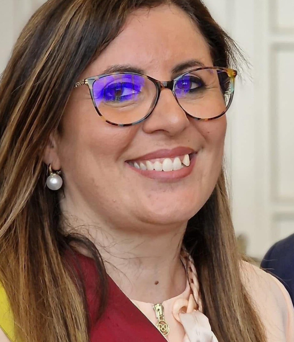 Lettera aperta della  presidente  del consiglio Giudice    - 