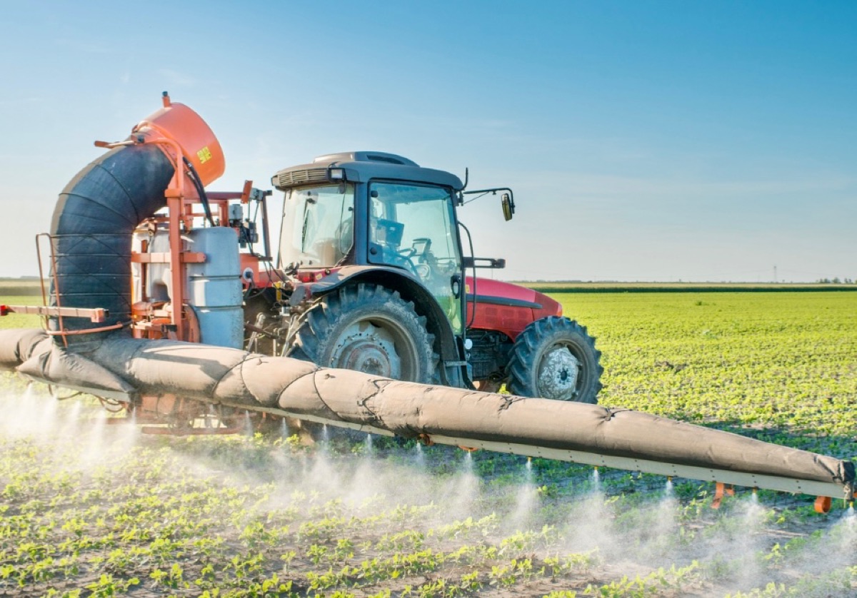 Agroalimentare: “accordo UE-Mercosur inaccettabile” - 