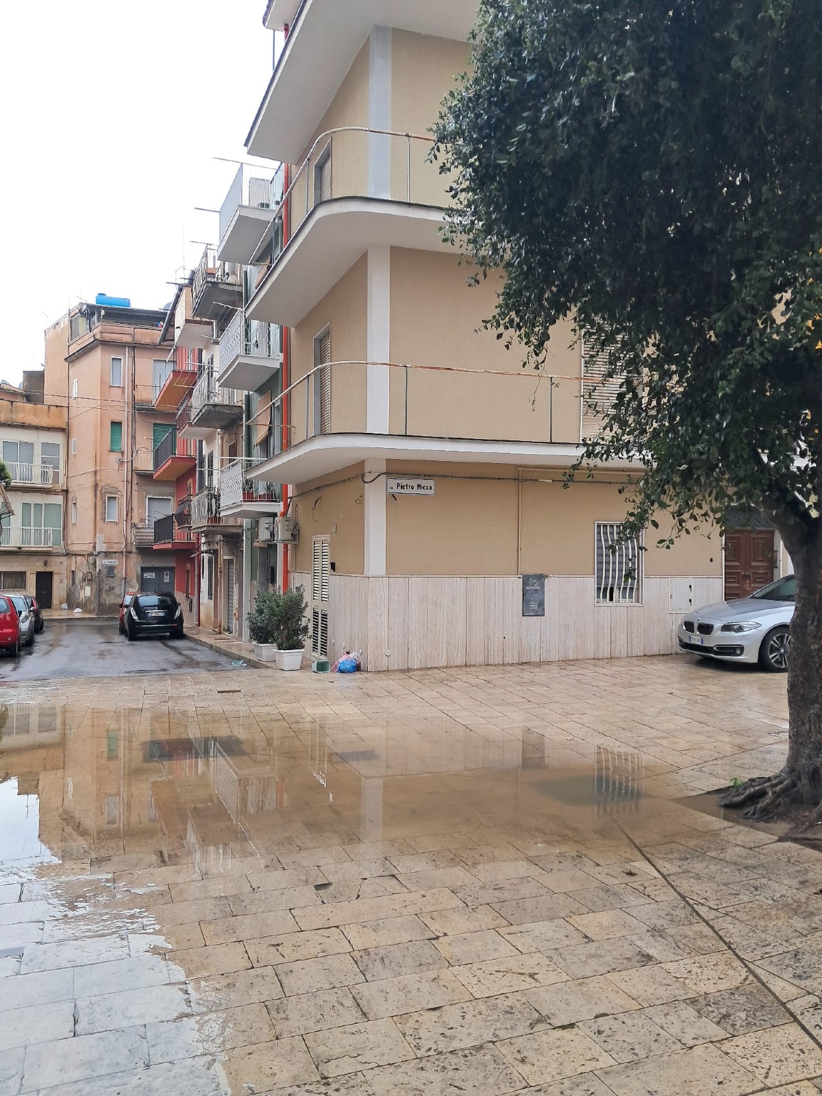 Il laghetto di  piazza Dante Alighieri  - 