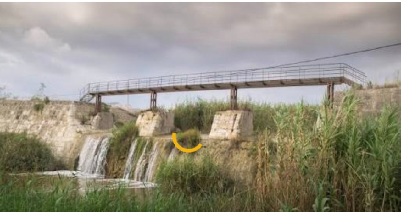 Manovre di scarico a Disueri 