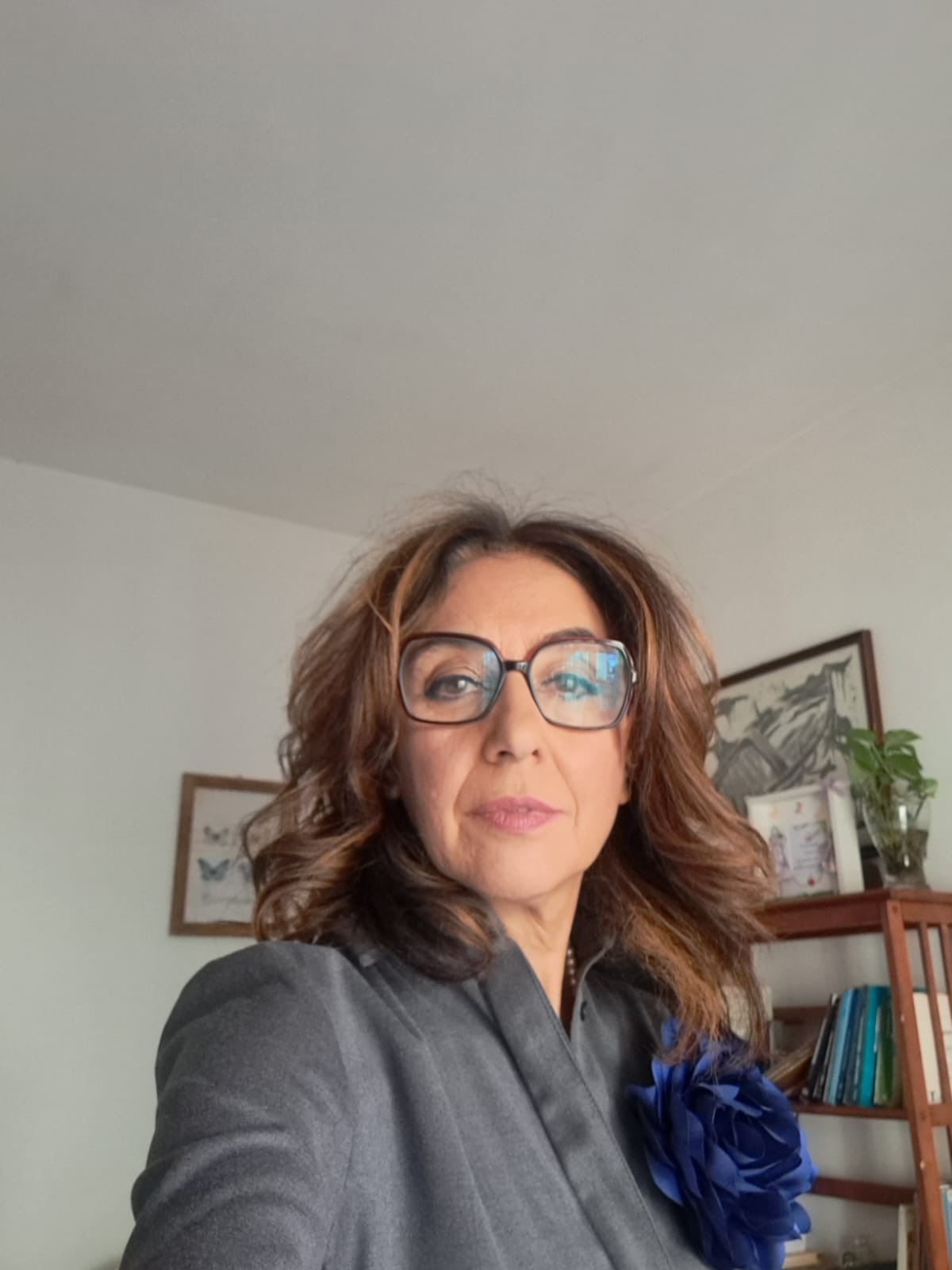 La dott.Rita Pasqualetto interviene sulla frana di Niscemi  - 