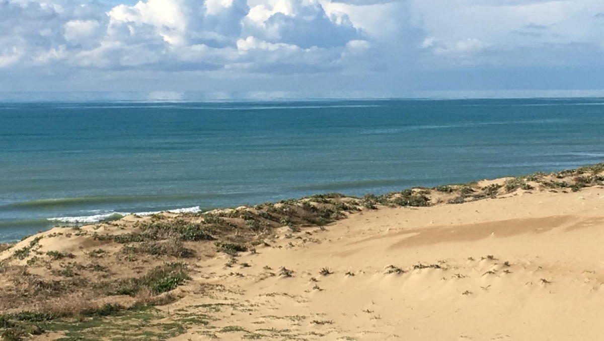 "Nulla è più prezioso di un luogo integro"   - 