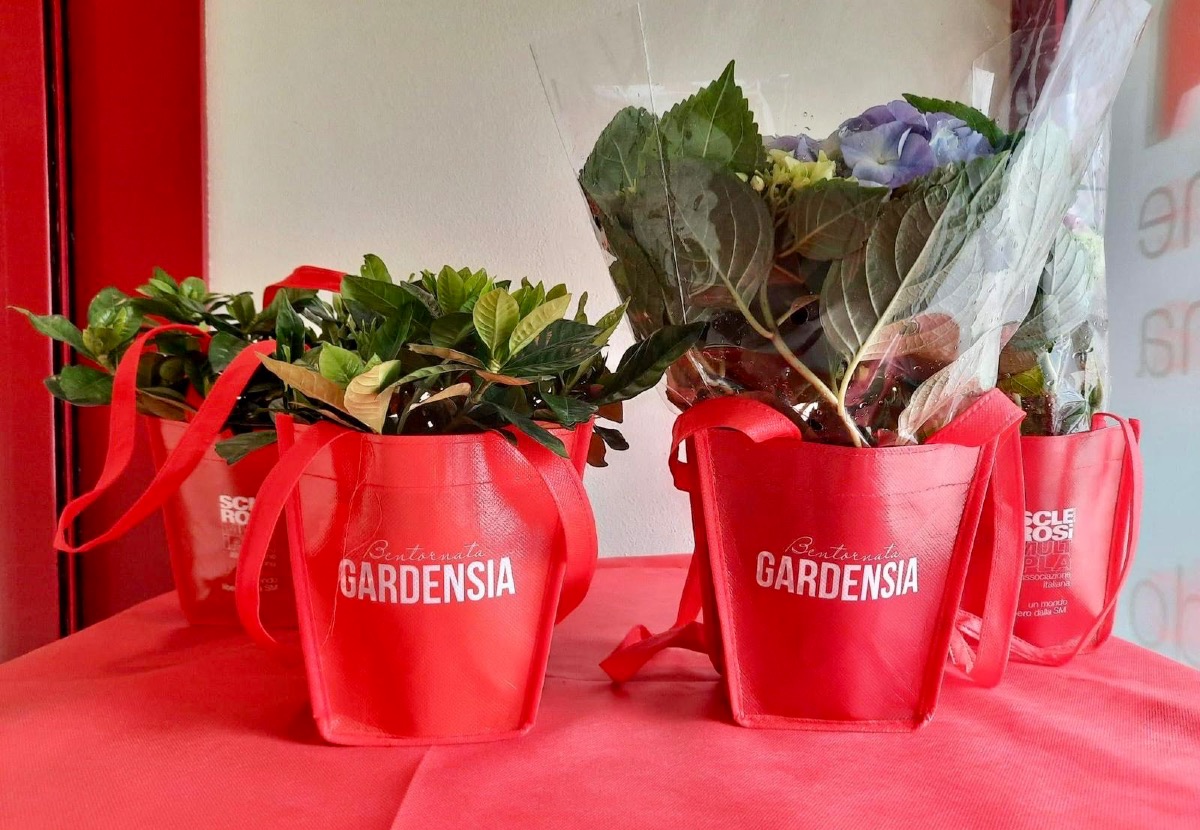 L’Aism nelle piazze con “Gardensia”