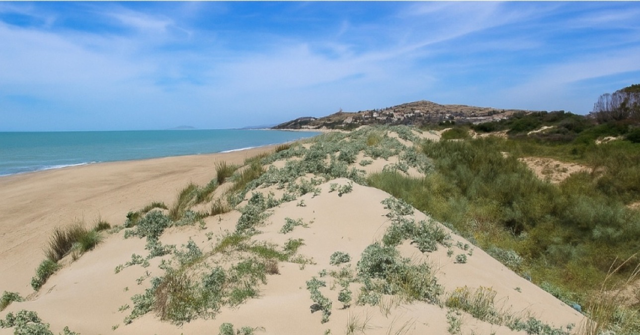 La guerra delle dune di Macchitella con i volantini anonimi - 