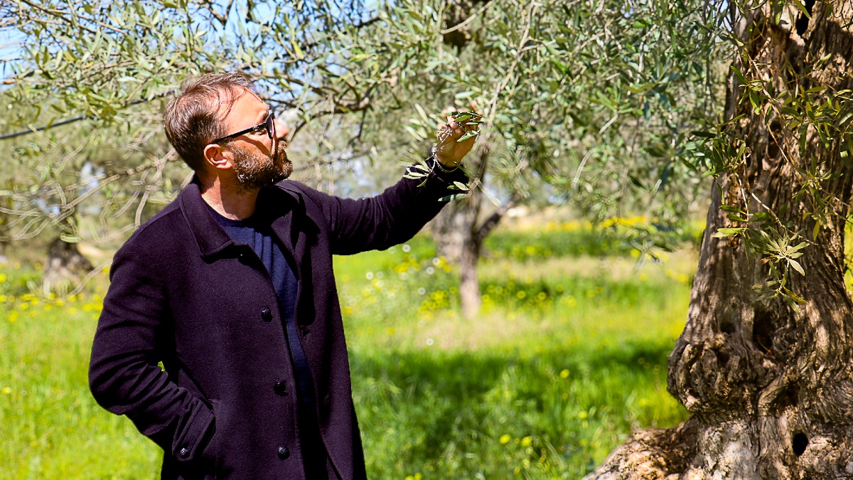 Premio 5 Gocce Bibenda  a Involio Nocellara del Belice  - 