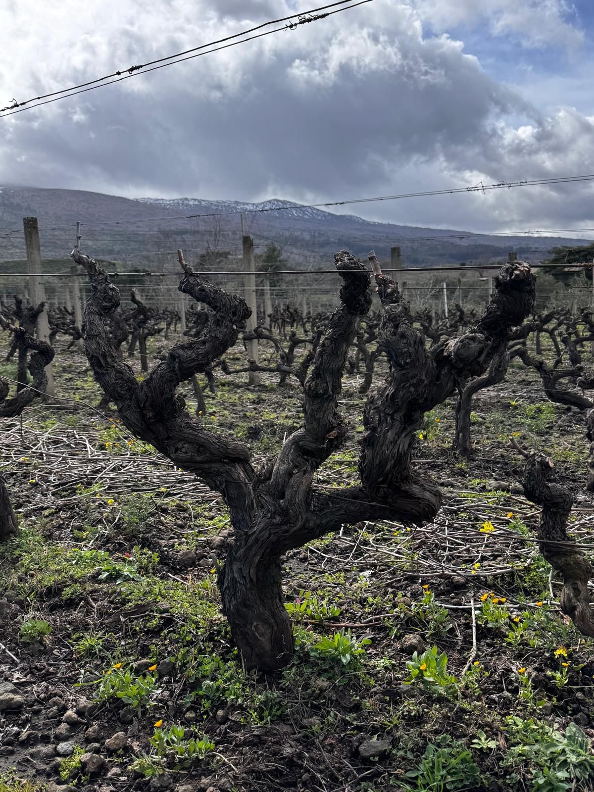 Casa Grazia scrive una nuova pagina della sua storia  - 