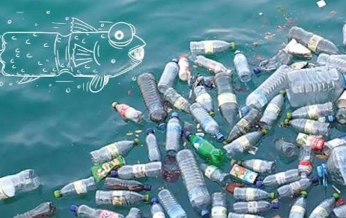 Codacons chiede l'applicazione della legge "Salva mare" - 