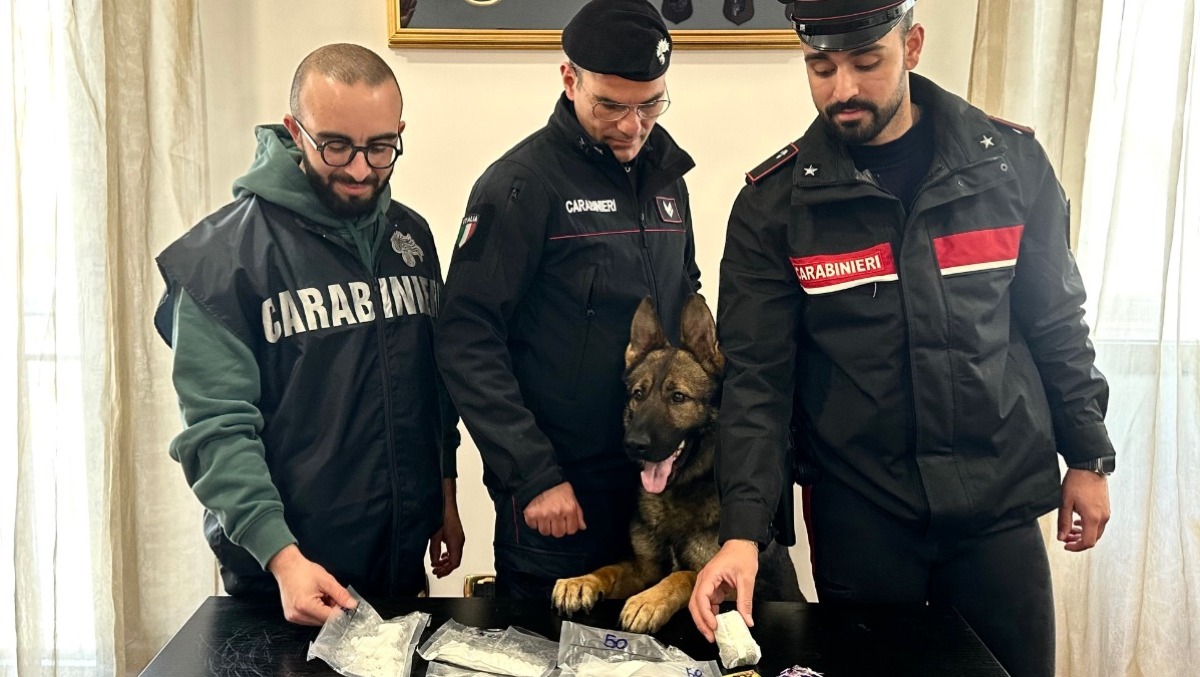 Aron e Conan fiutano la droga nascosta in un garage 