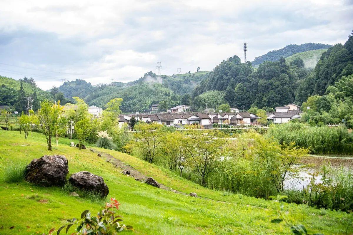 Cina, obiettivo accelerare sullo sviluppo sostenibile nel prossimo quinquennio - 