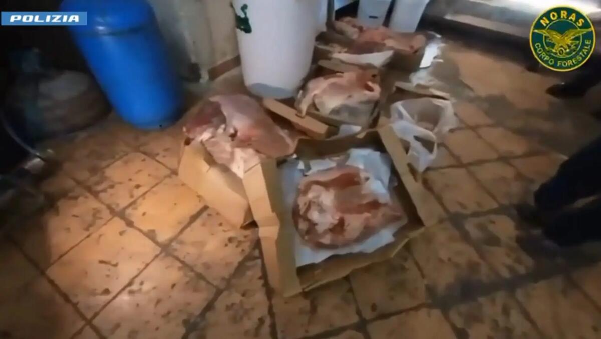 Controlli a tappeto sulla filiera alimentare a Catania, maxi multe e sequestri / Video - 