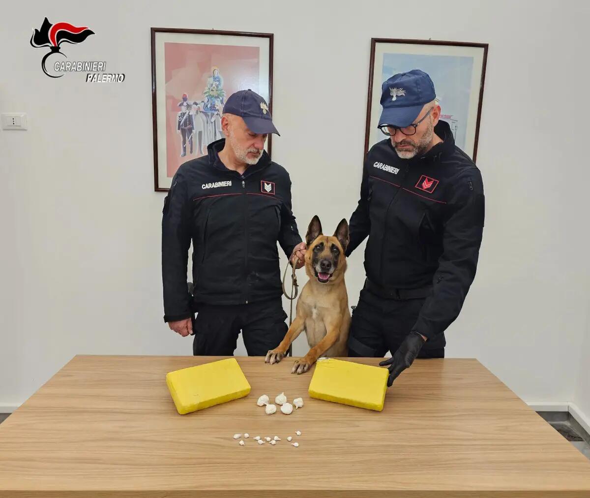Maxi sequestro di cocaina a Palermo, stop ad un giro da 300 mila euro - 