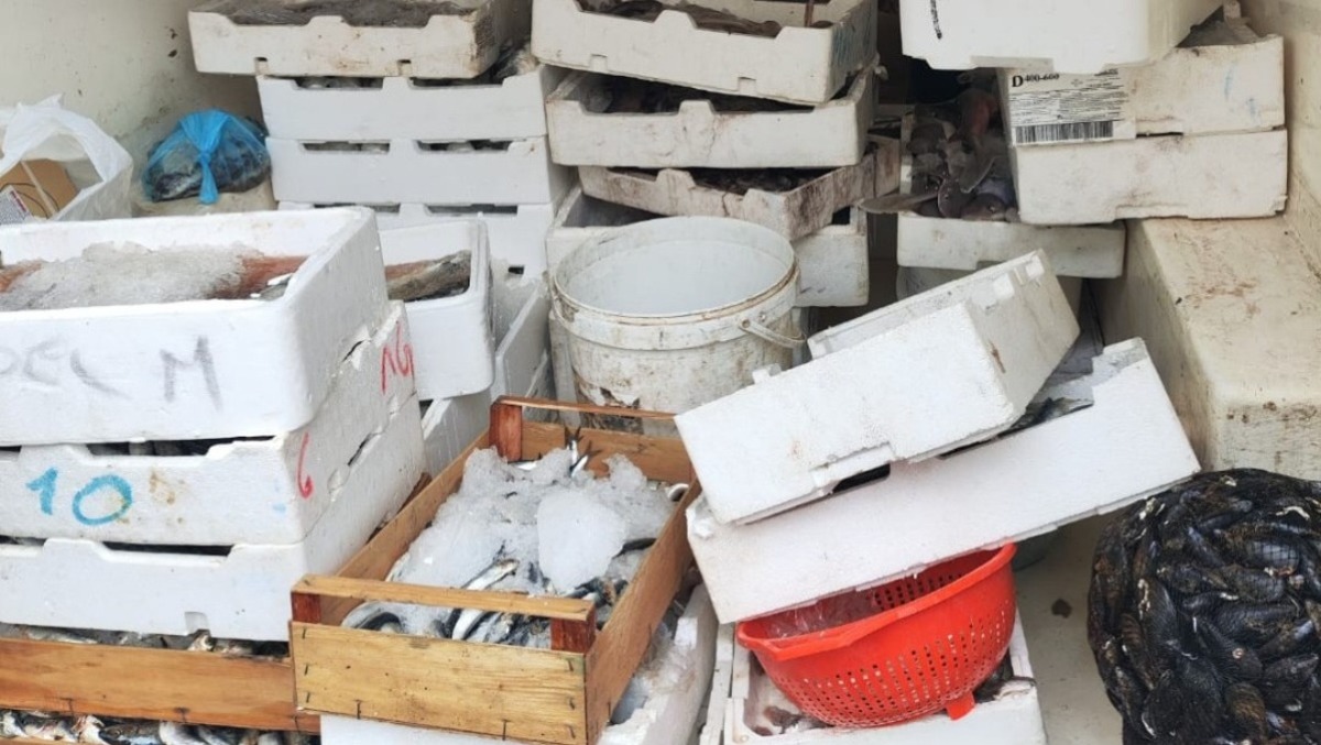 Operazione Phoenix della Guardia costiera  - 